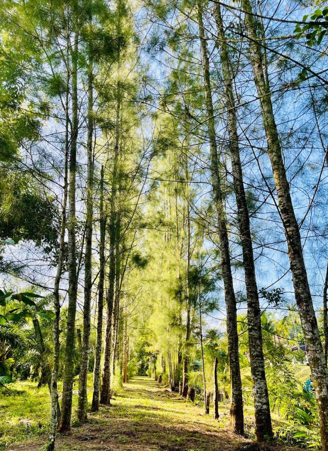 Wassana Sitdharma Guesthouse Trang Dış mekan fotoğraf